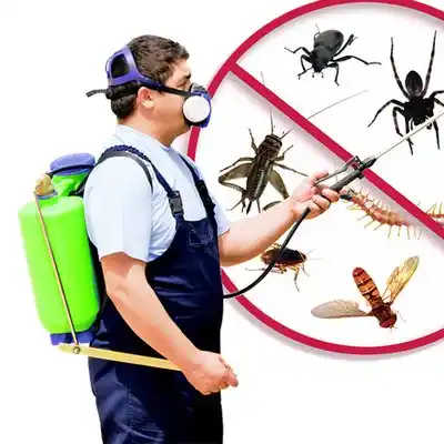 pest control Ranier